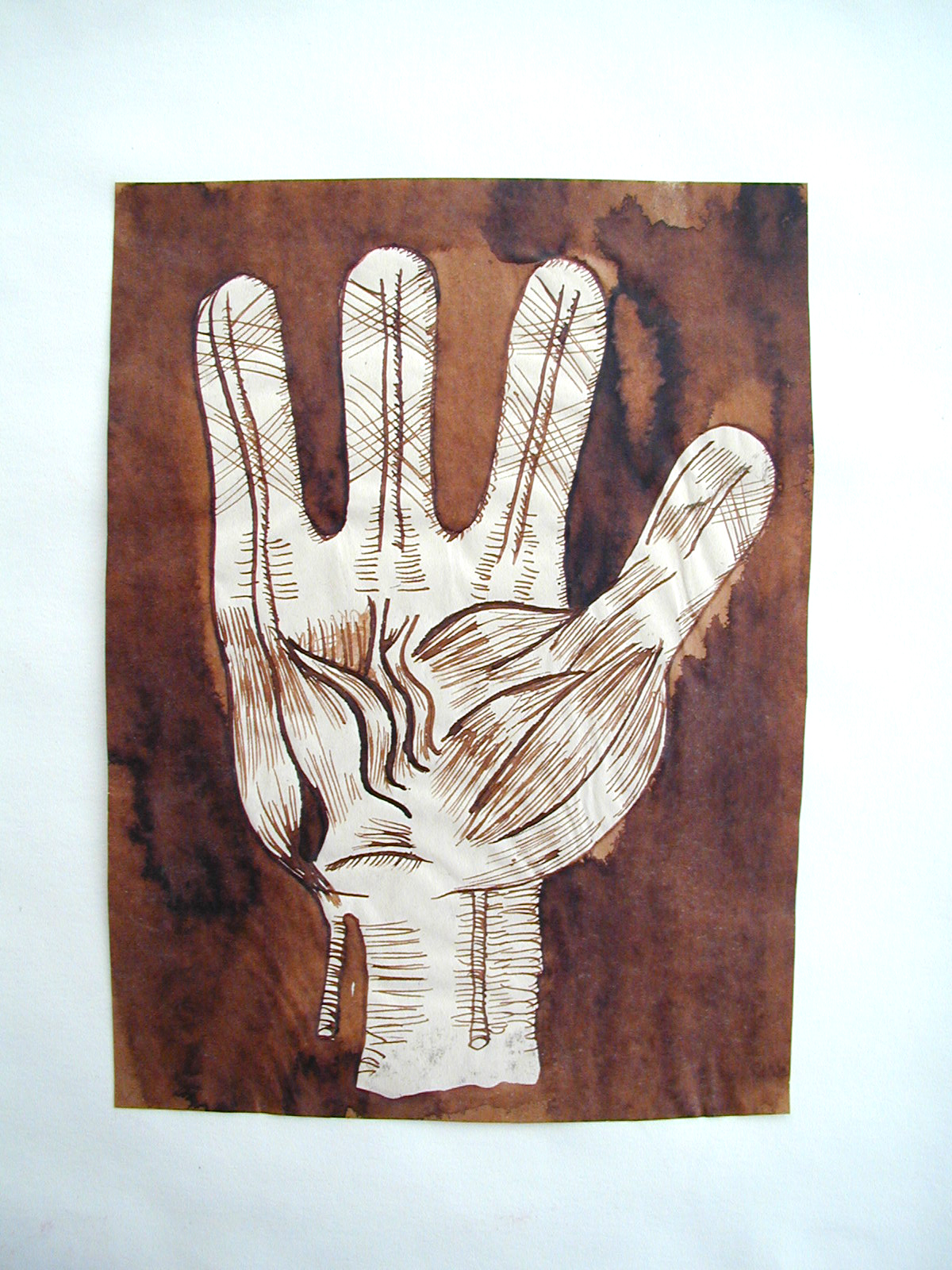 Etude anatomique de nain de jardin, 30 x 21 cm, brou de noix sur papier, 1994.